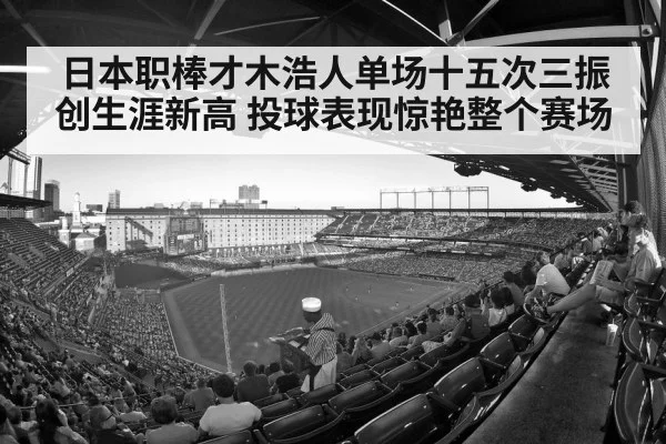 baseball stadium crowd