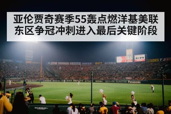 baseball stadium crowd night game
