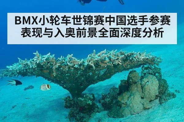 BMX小轮车世锦赛中国选手参赛表现与入奥前景全面深度分析